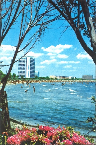 2025-15 - Mamaia